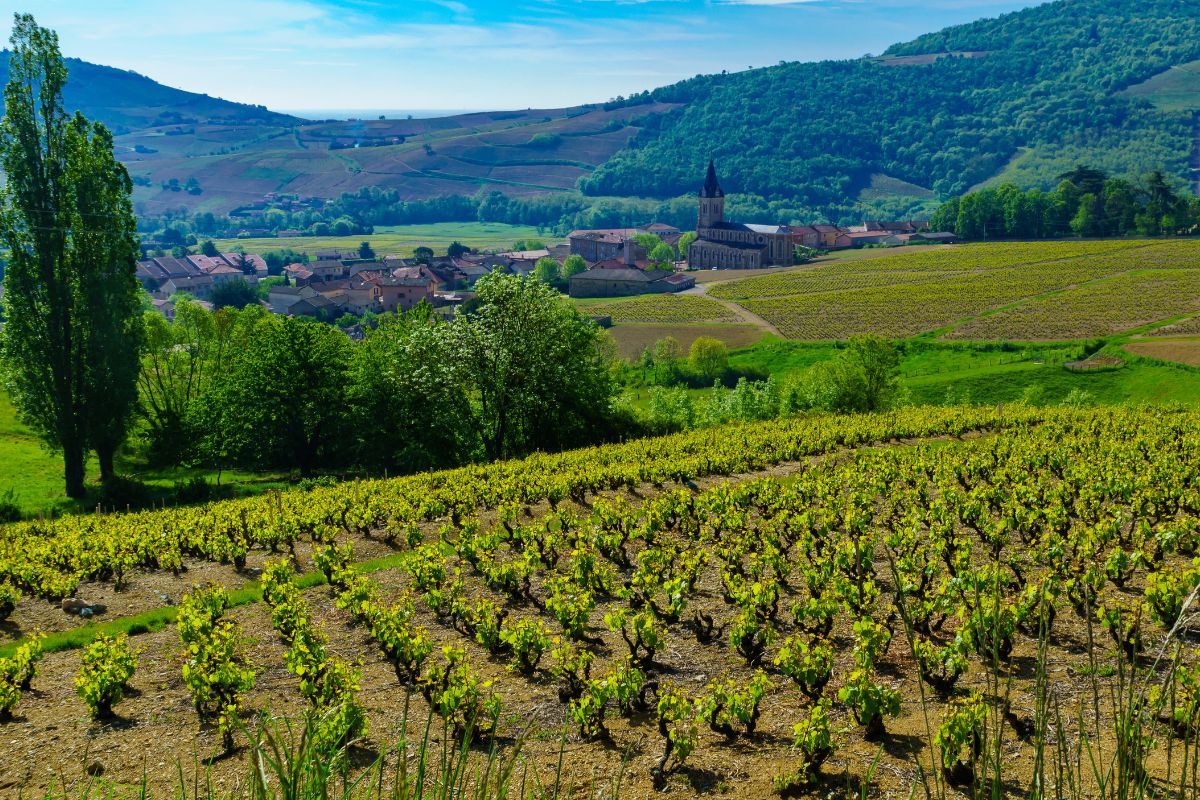 Week-end insolite autour de Lyon : Notre top 5 