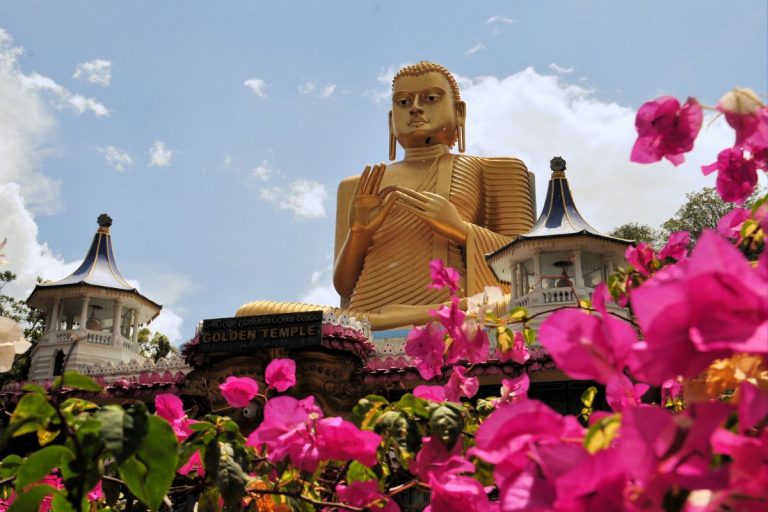 Sri Lanka en Août : Que voir & Où loger ?