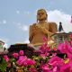 Sri Lanka en Août : Que voir & Où loger ?
