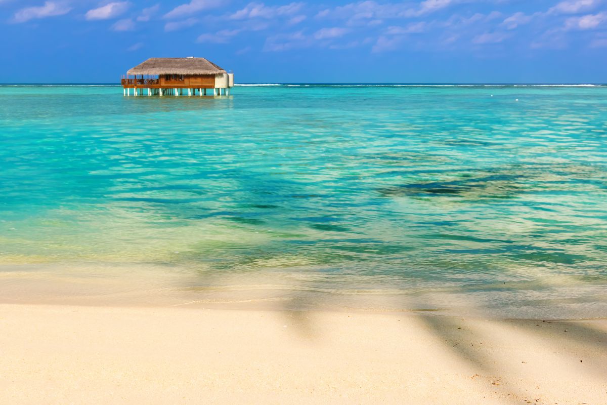 Les meilleures activités à faire à Tahiti pendant les JO