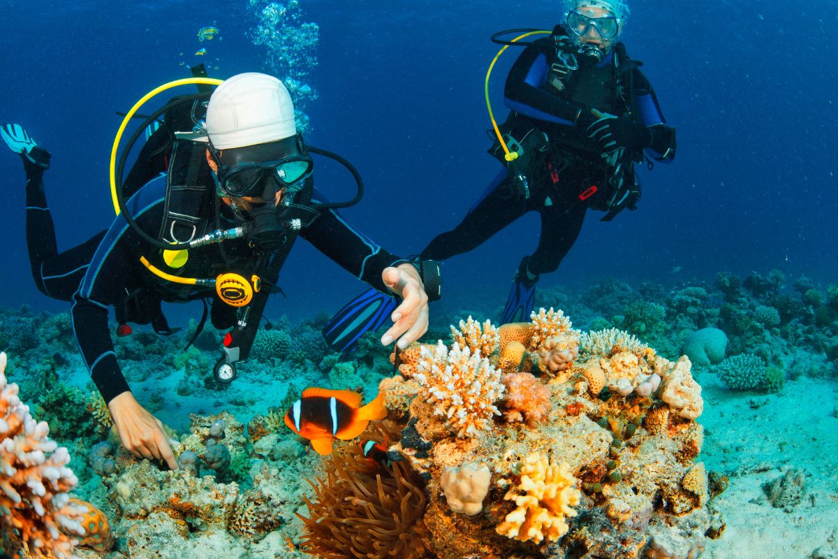 Les meilleures destinations pour les amateurs de plongée en Europe