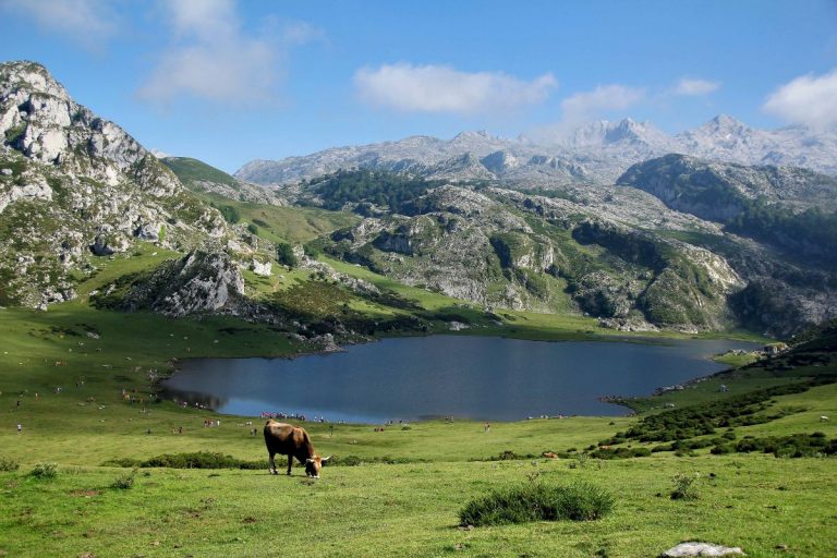 7 jours asturies