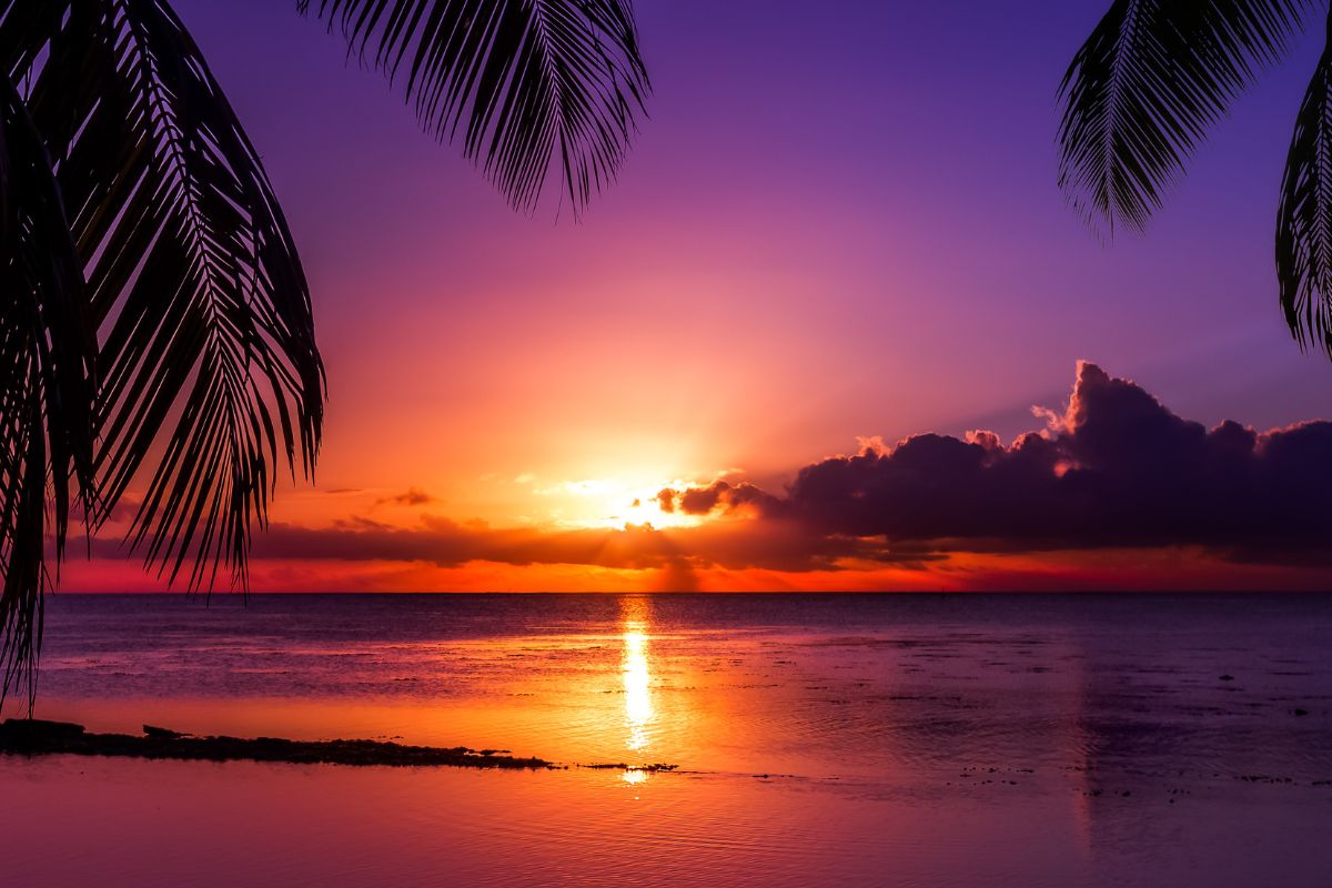 Les meilleures activités à faire à Tahiti pendant les JO