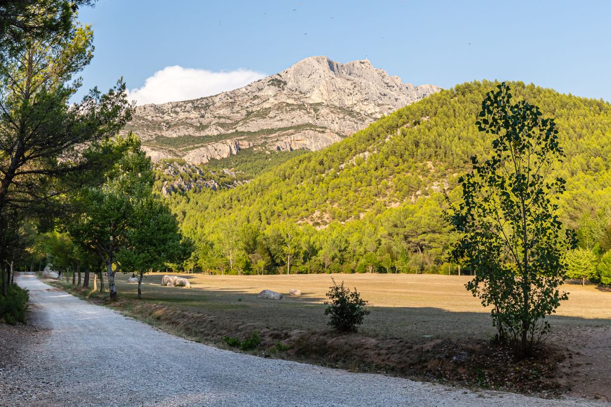 Le Tholonet