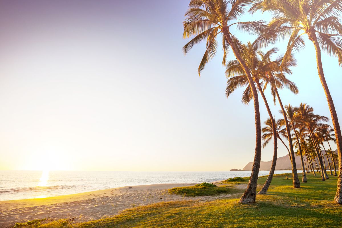 Les 7 plus belles îles à découvrir à Hawaii en 2024