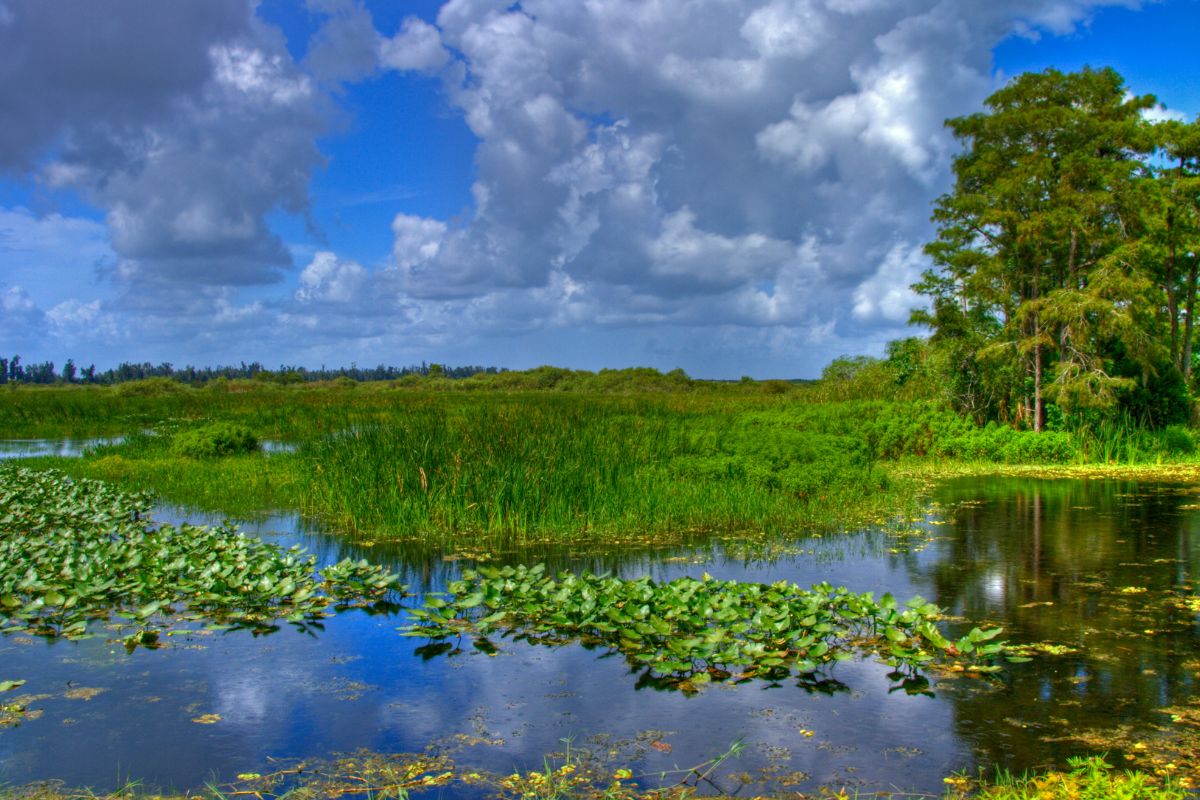 10 jours de Road trip en Floride : Le meilleur itinéraire de 2024