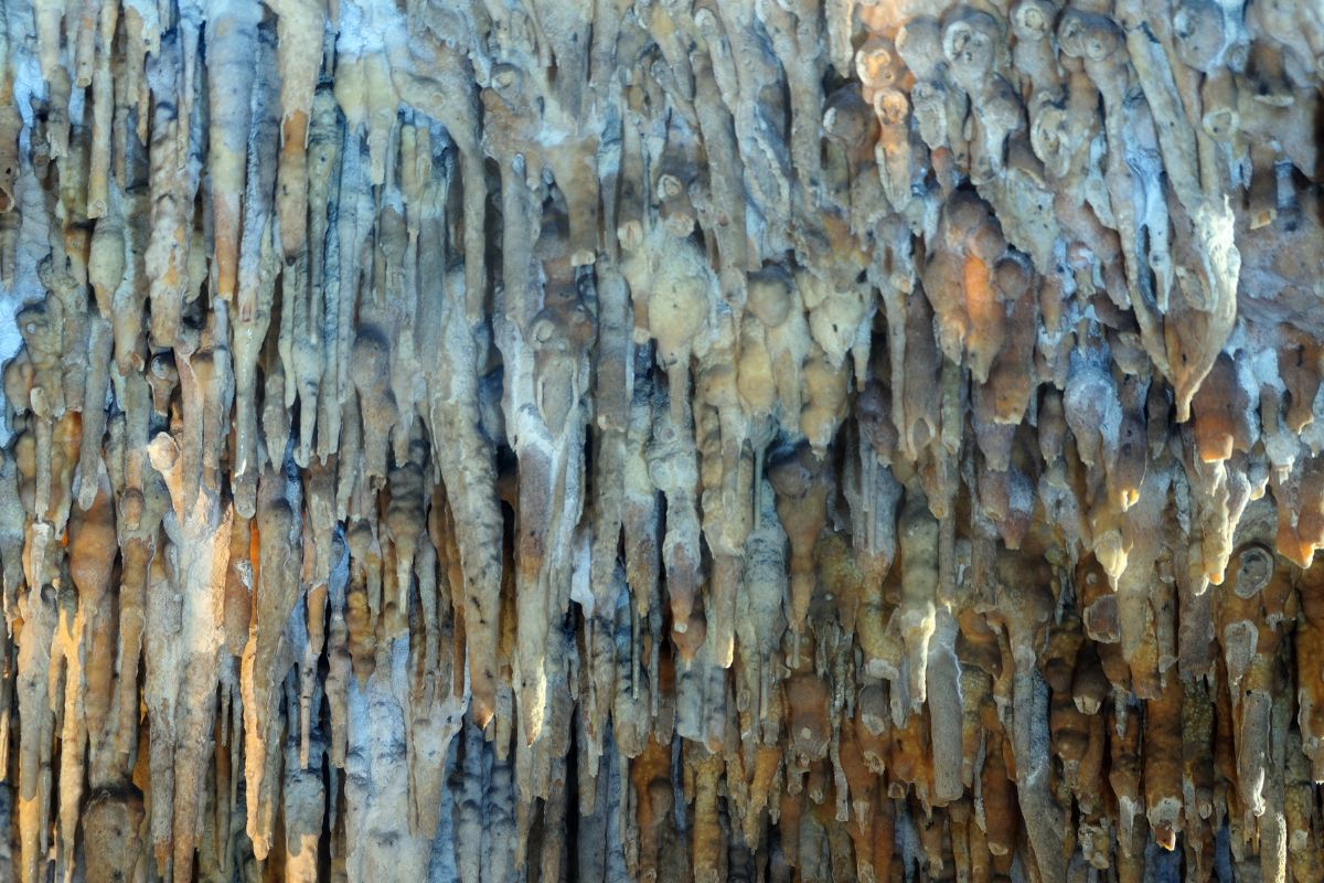 Les 10 plus belles grottes de Dordogne à visiter en 2024
