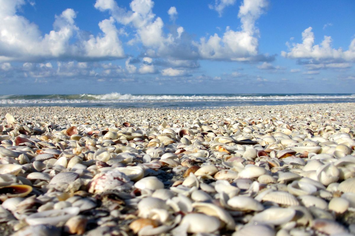 10 jours de Road trip en Floride : Le meilleur itinéraire de 2024
