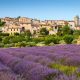 Que faire pendant votre séjour dans le Vaucluse ?