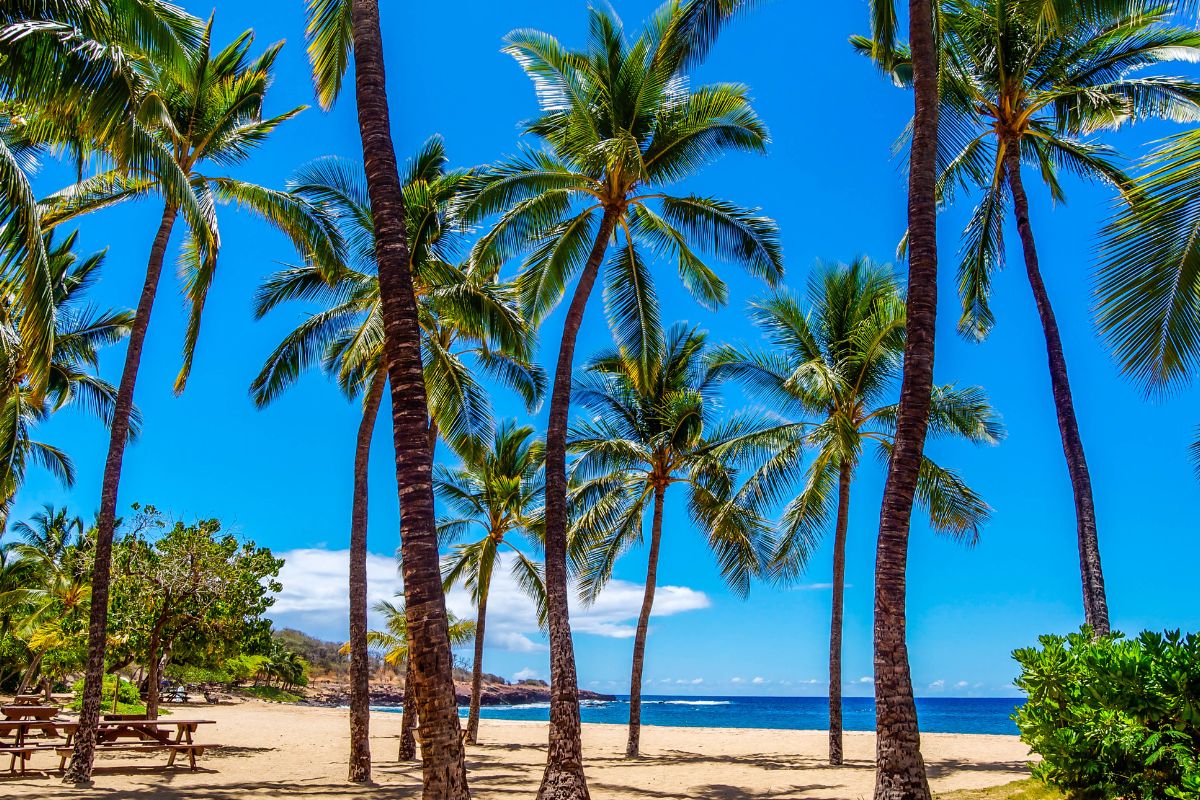 Les 7 plus belles îles à découvrir à Hawaii en 2024