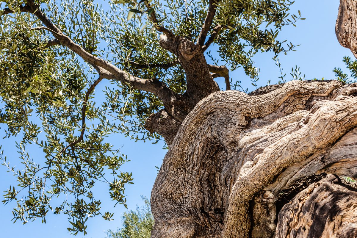 Plus beaux sites naturels de crete