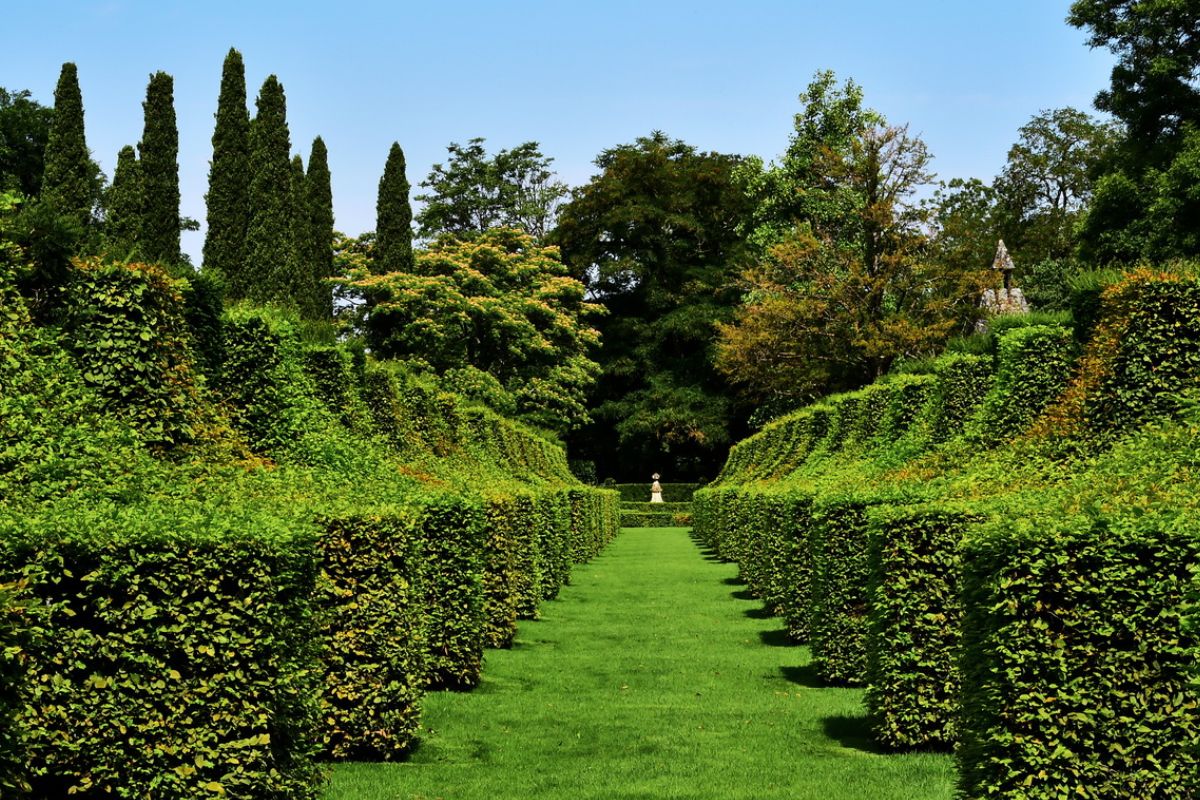 Les 8 plus beaux jardins de France à visiter en 2024