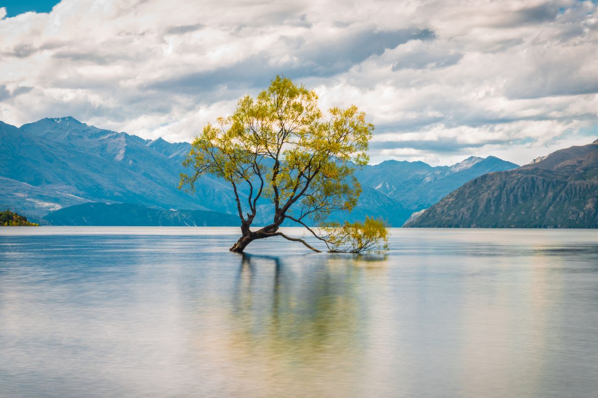 Lac Wanaka : Le guide complet pour la visite