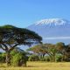 5 sites exceptionnels à voir autour du Kilimandjaro en 2024