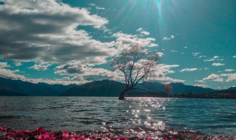 Lac Wanaka : Le guide complet pour la visite