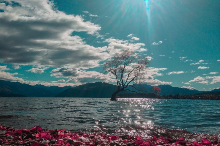 Lac Wanaka : Le guide complet pour la visite