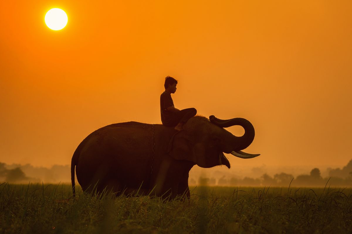 Quel budget pour 10 jours en Thailande ? 
