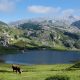 Comment faire pour se déplacer dans les Asturies en 2024 ?