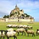 Le Mont-Saint-Michel : Ou dormir pour une expérience unique en 2025 ?