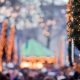 L'hiver approche, et avec lui la magie des fêtes de fin d'année. Parmi les trésors de cette saison enchantée, les marchés de Noël de la Drôme se démarquent par leur charme unique. Nichés dans des décors pittoresques, ces rendez-vous féeriques promettent une expérience inoubliable pour tous les sens. Préparez-vous à un véritable voyage au cœur des plaisirs hivernaux, où chaque stand vous invite à la découverte et à l'émerveillement.