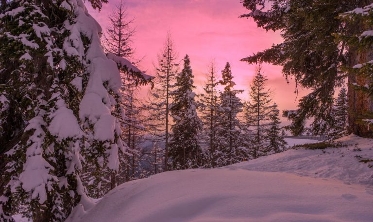 Les secrets de Laponie