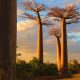 Top 5 des plus beaux endroits à voir la première fois à Madagascar