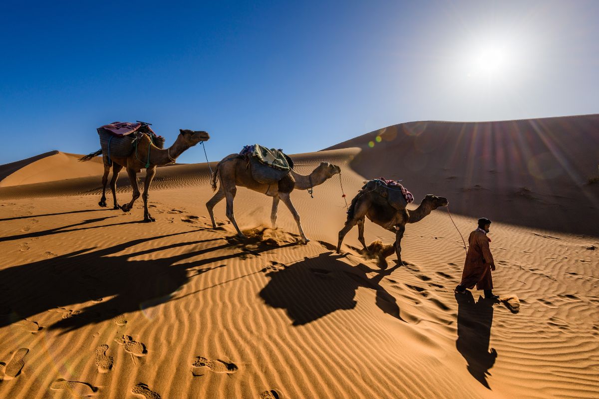 Nuit dans le désert à Marrakech : Le guide pratique de 2025