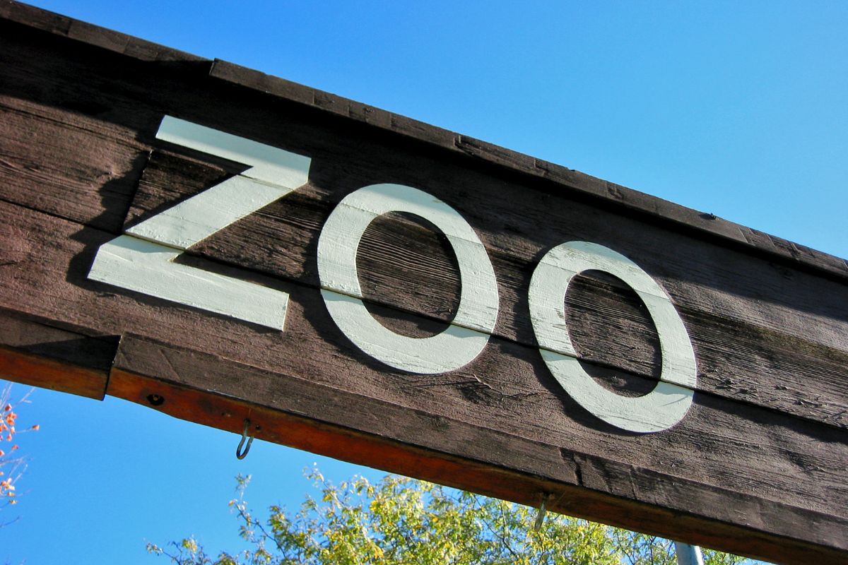 Zoo de La Flèche : Avis