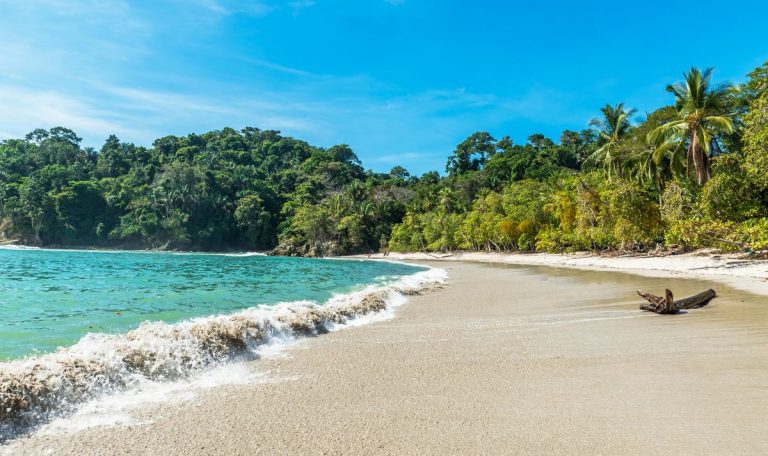 Les 5 meilleurs ecolodges du Costa Rica en 2025
