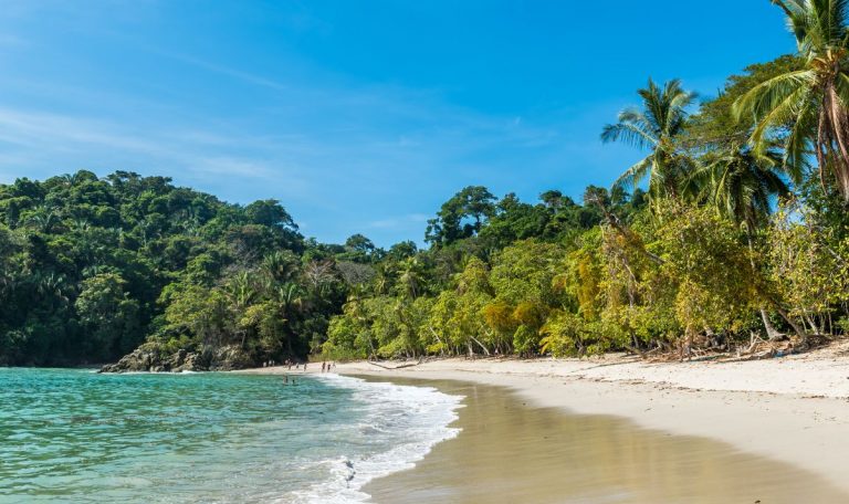 Les 5 meilleurs ecolodges du Costa Rica en 2025