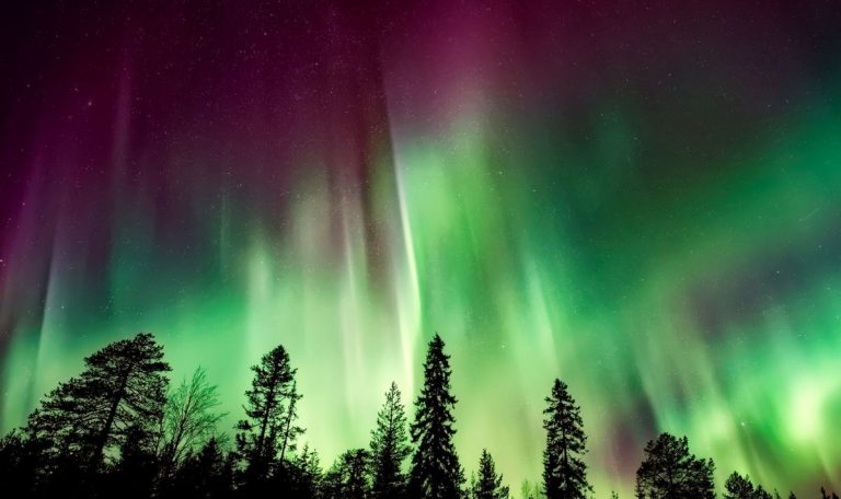 Comment aller voir les aurores boréales de Norvège ?