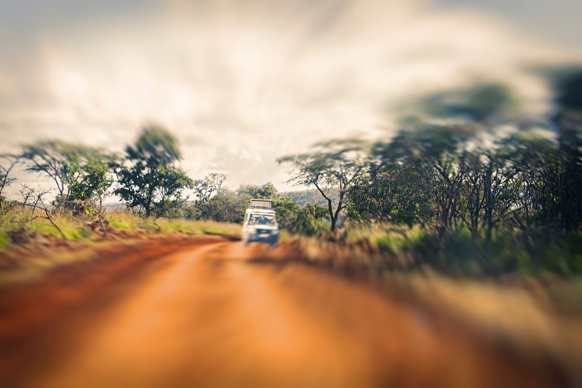 Les 8 plus beaux safaris du Rwanda à absolument faire en 2025