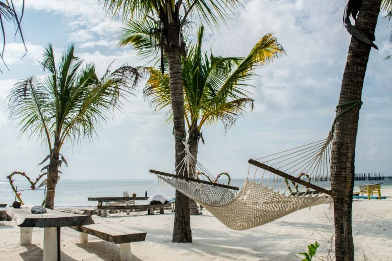 Quel prix pour un safari de 1 jour à Zanzibar ?