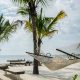 Quel prix pour un safari de 1 jour à Zanzibar ?