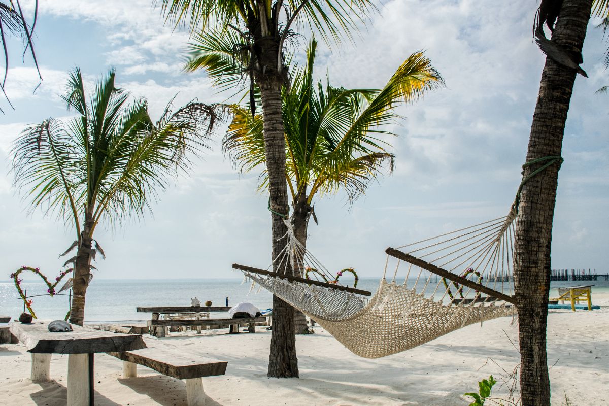 Quel prix pour un safari de 1 jour à Zanzibar ?