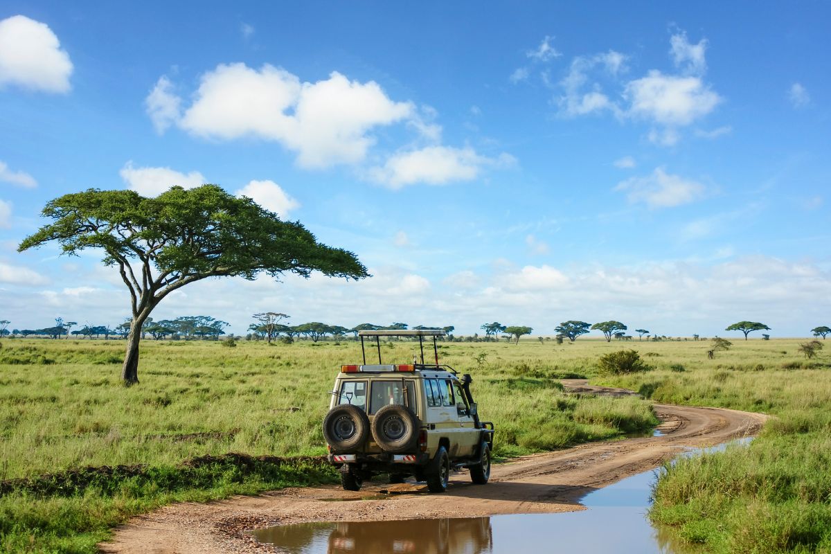 Les 8 plus beaux safaris du Rwanda à absolument faire en 2025
