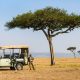 Quel prix pour un safari au Kenya de 10 jours ?