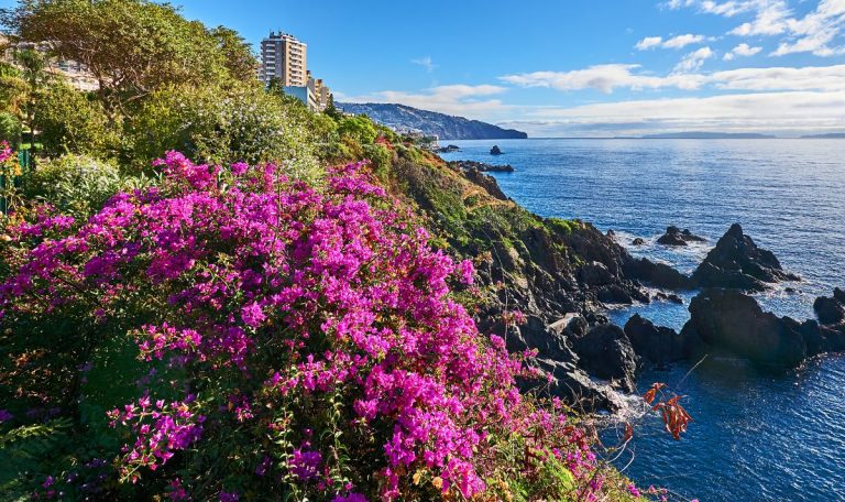 Malte ou Madère : Quelle est la meilleure île ?