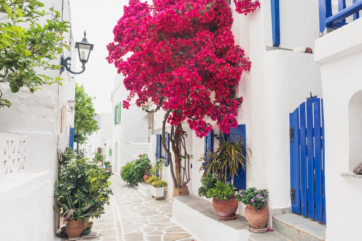 Paros en 3 jours : Que voir & Ou loger ?