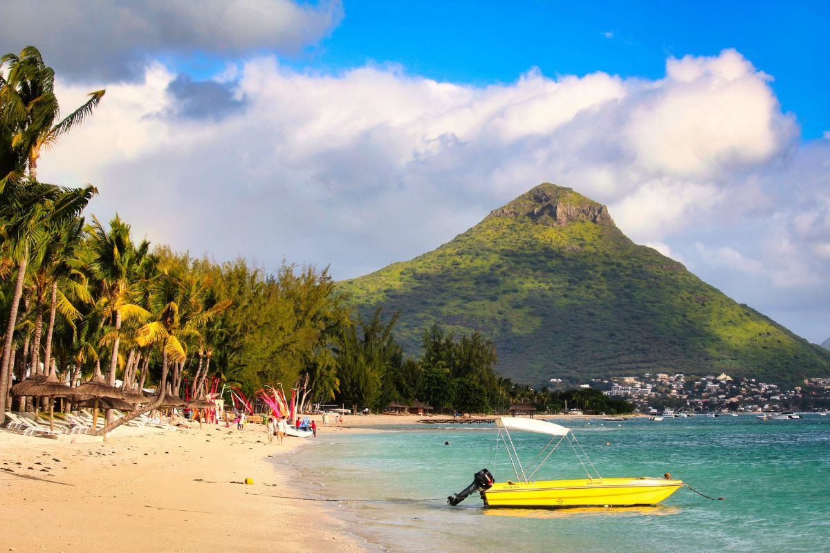 Ou nager avec les dauphins à l'île Maurice en 2025 ?