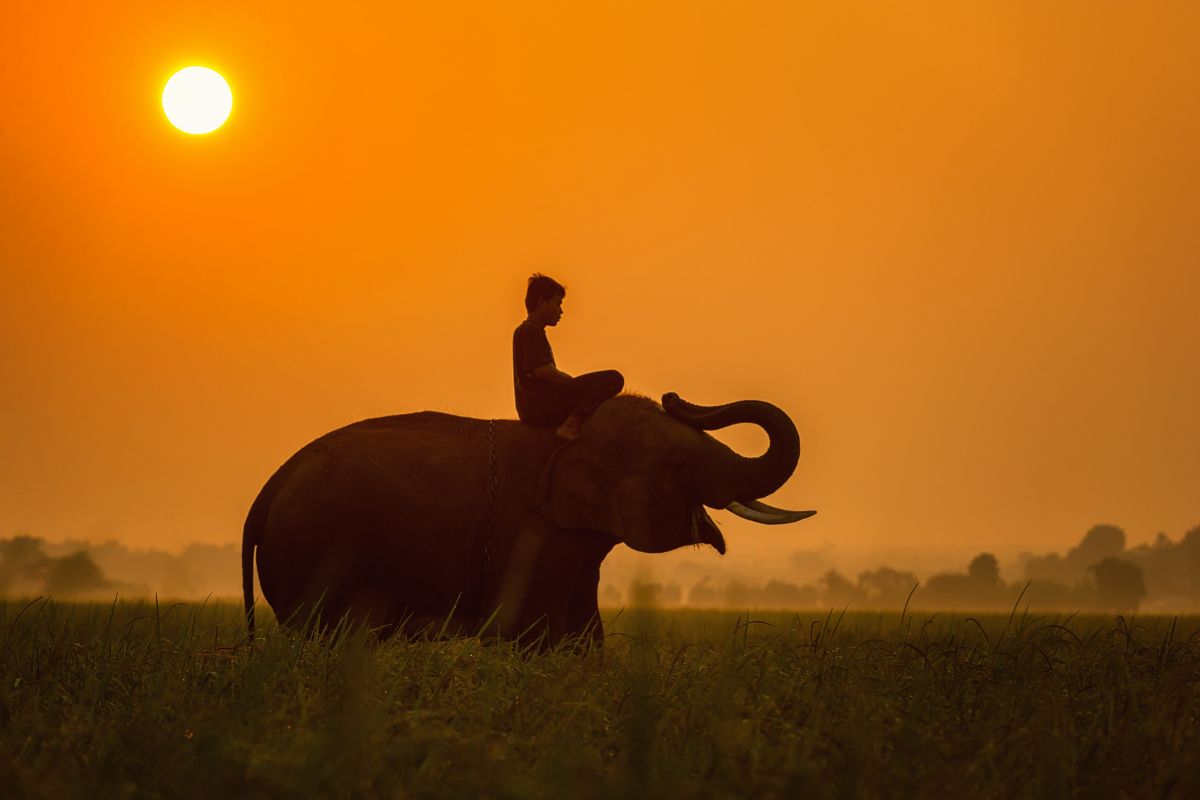 Cambodge ou Thailande : Où partir pour ses vacances ? 