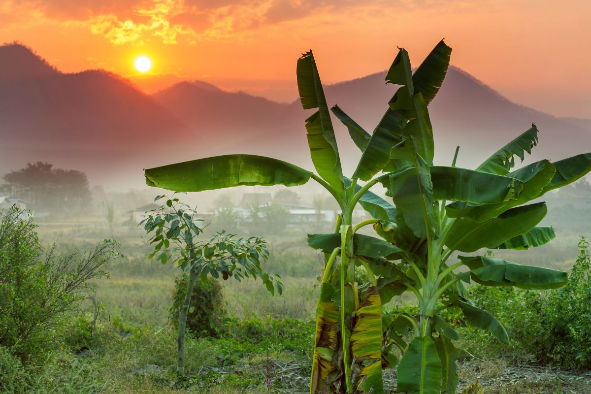 Cambodge ou Thailande : Où partir pour ses vacances ? 