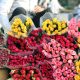 Marché aux fleurs à Nice : L’incontournable de 2025