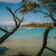 Port Cros ou Porquerolles : Quelle île faut-il choisir ?