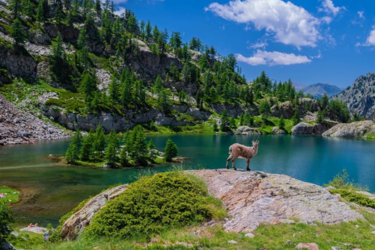 Les 10 plus beaux lacs dans le mercantour en 2025