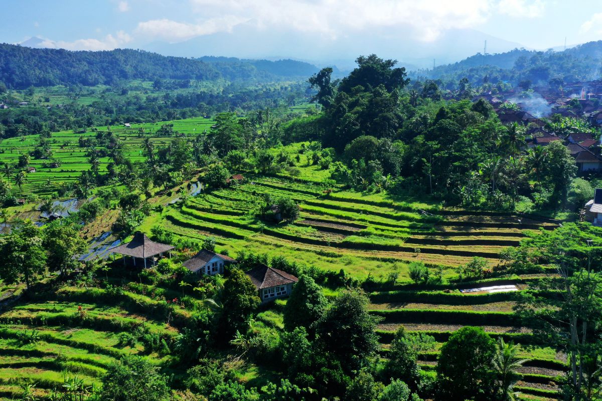 Les meilleurs endroits où faire une retraite spirituelle à Bali