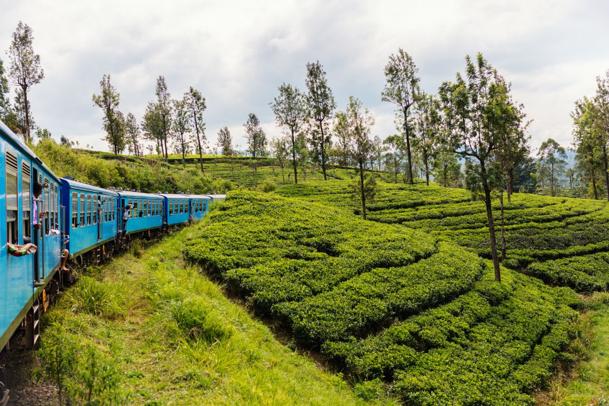 Comment voyager au Sri Lanka en tant que femme & Ou dormir ?