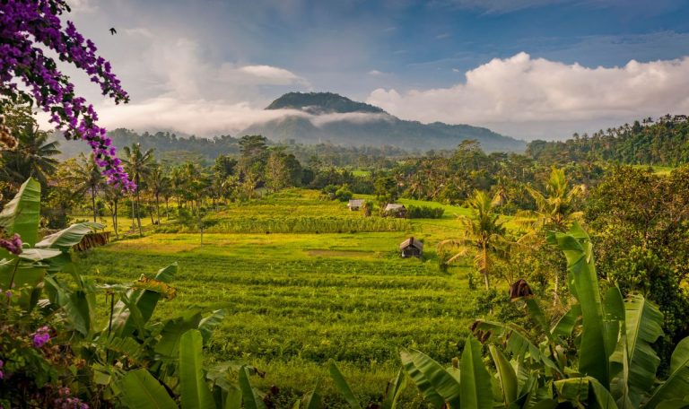 Les meilleurs endroits où faire une retraite spirituelle à Bali
