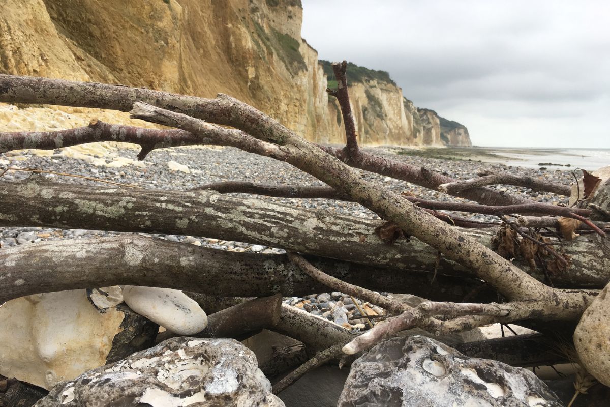 3 jours ou 4 jours pour visiter la Côte Albâtre ?