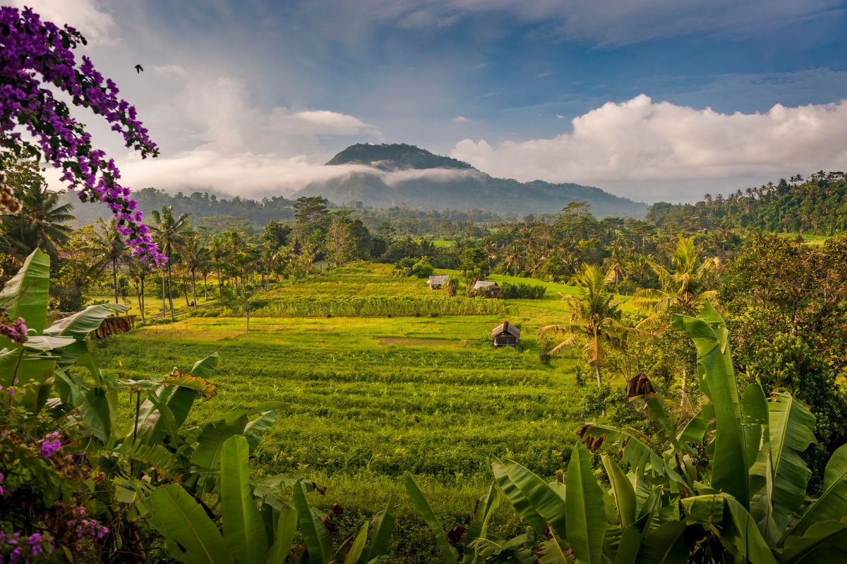 Les meilleurs endroits où faire une retraite spirituelle à Bali